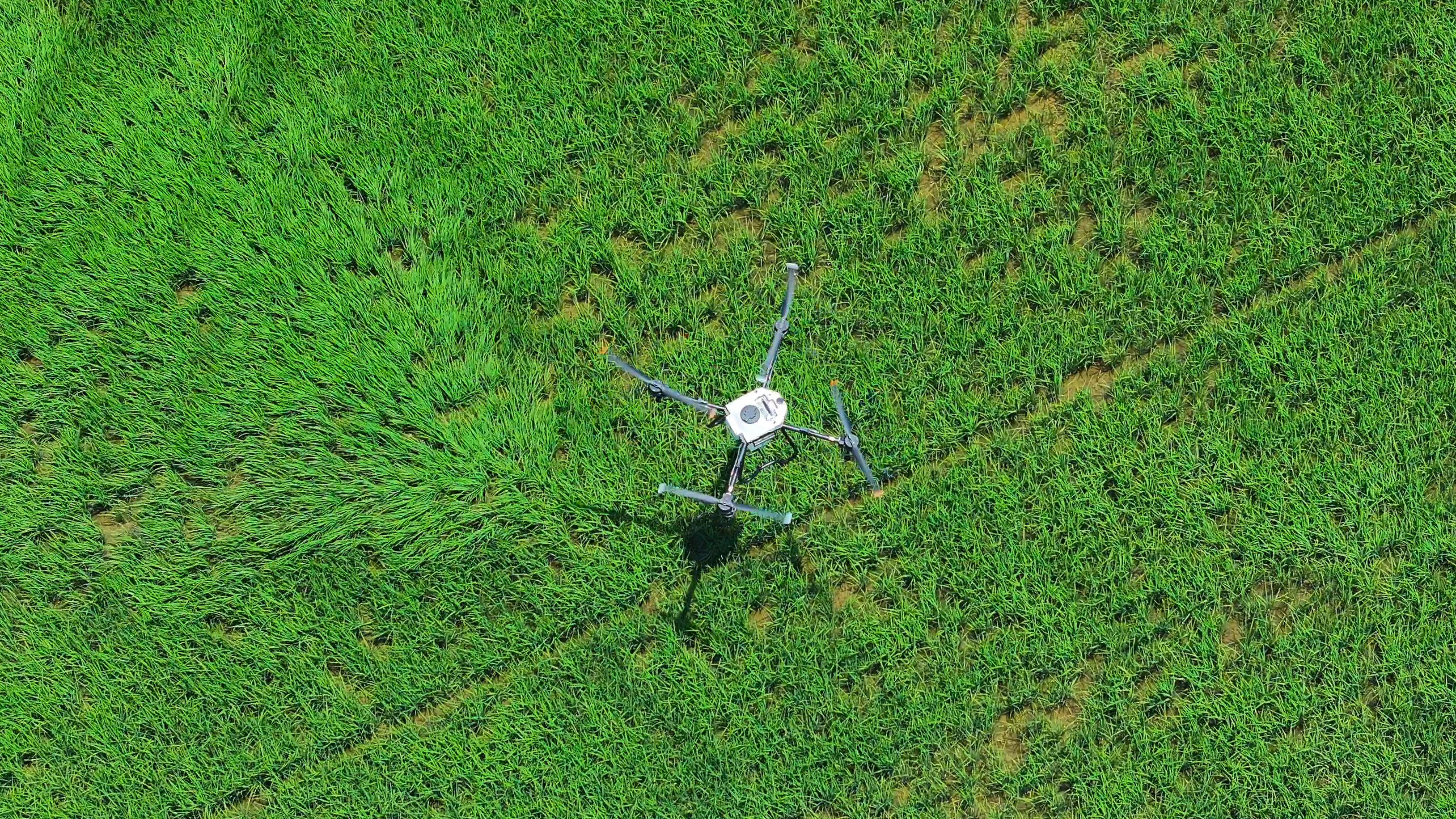 Ag spray drone applying product across a field