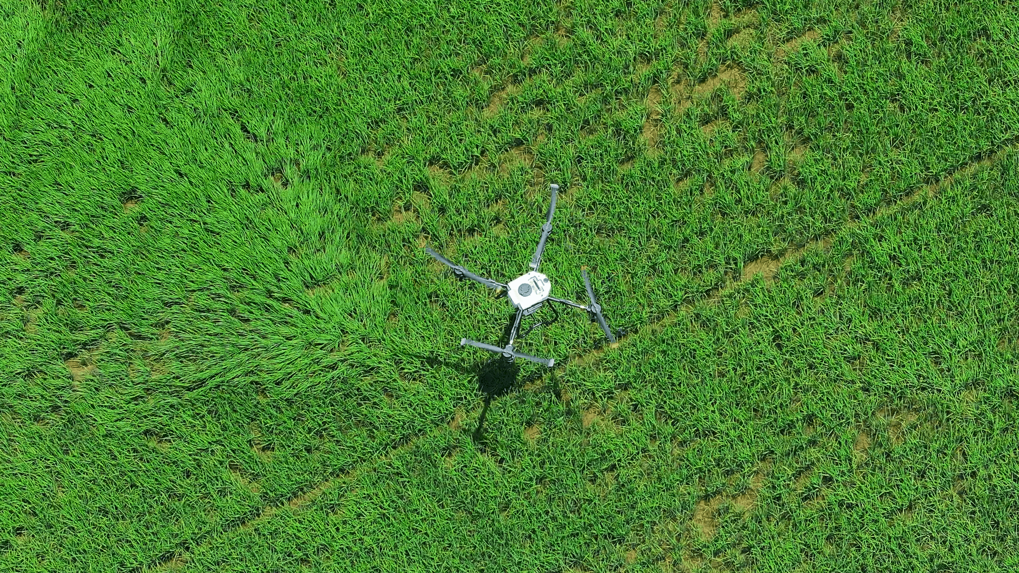 Ag spray drone applying product across a field